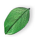 floating_leaf_01 https://freshenhomes.com/wp-content/uploads/2025/07/floating_leaf_01.png